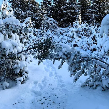 Romantiline Saunamaja Lahe Aeaeres Σπίτι διακοπών Pädaste