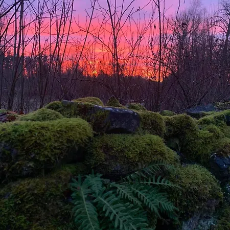 Romantiline Saunamaja Lahe Aeaeres Σπίτι διακοπών *