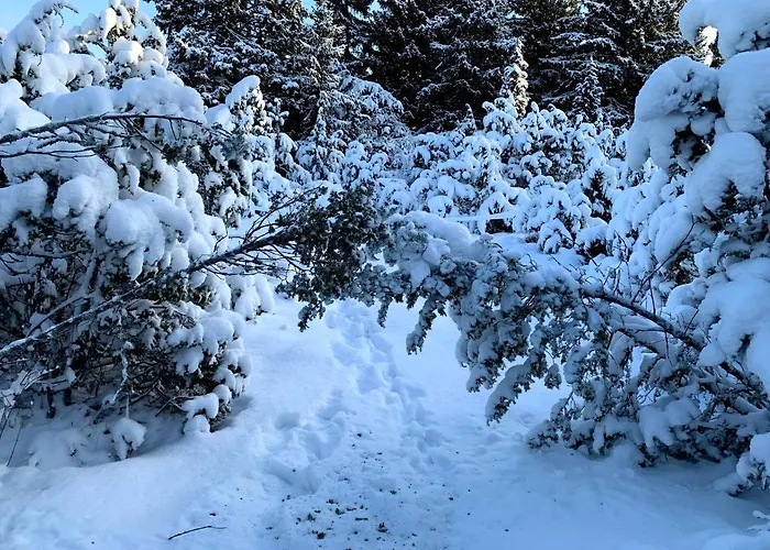Romantiline Saunamaja Lahe Aeaeres Semesterbostad Pädaste