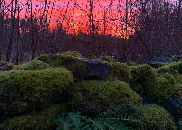 Romantiline Saunamaja Lahe Aeaeres بيت للعطل *